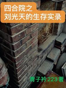 四合院之刘光天的生存实录作者青子衿223