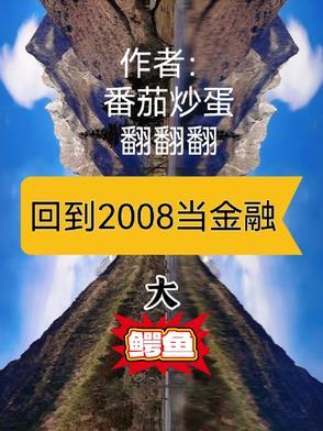 回到2008简介